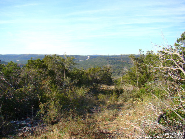 Listing photo id 3 for Lot 375 County Road 2744