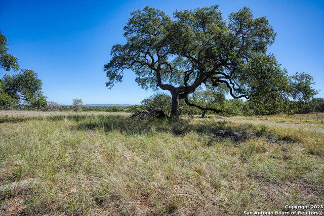 Image 5 of 31 For Lot 524 Buckskin Trl