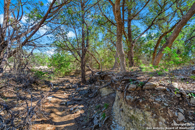 Image 10 of 15 For 34720 Ansley Ridge Trail