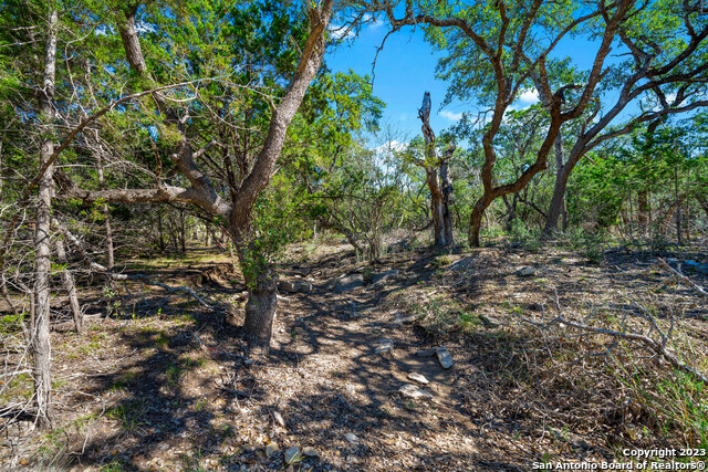 Image 9 of 15 For 34720 Ansley Ridge Trail