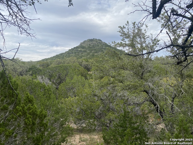 Details for 000 Frio Canyon Loop, ConCan, TX 78838