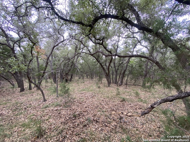 Image 6 of 25 For 000 Frio Canyon Loop