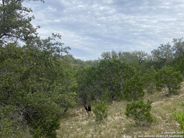 Image 7 of 25 For 000 Frio Canyon Loop