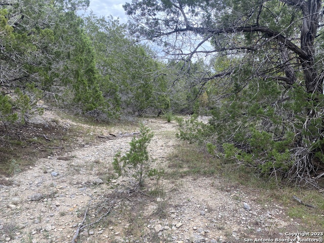 Image 8 of 25 For 000 Frio Canyon Loop