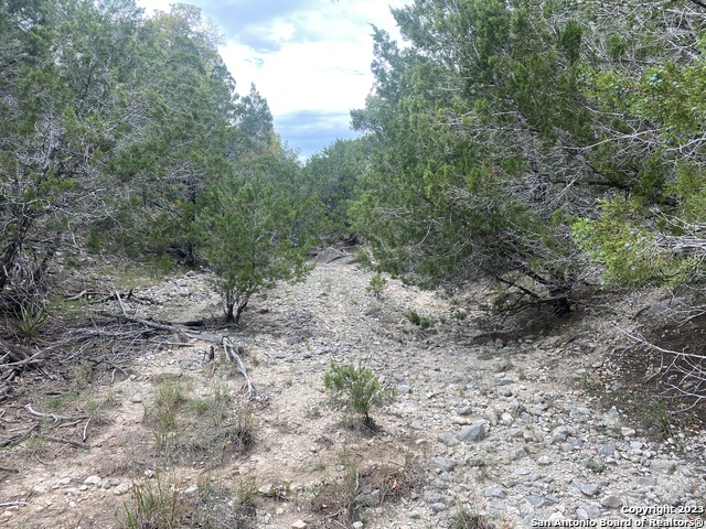 Image 9 of 25 For 000 Frio Canyon Loop