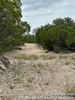 Image 7 of 24 For 32901 Tx Hwy 55