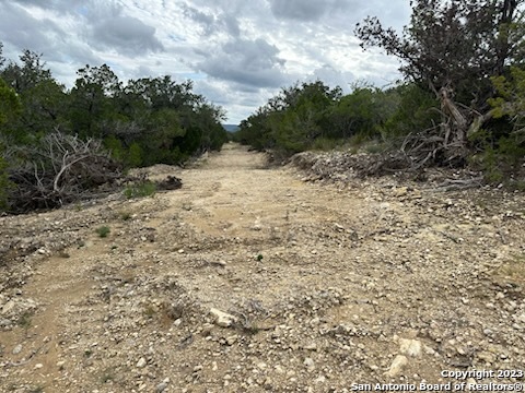 Image 8 of 24 For 32901 Tx Hwy 55