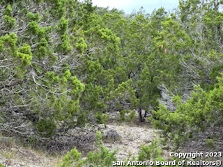 Image 9 of 24 For 32901 Tx Hwy 55