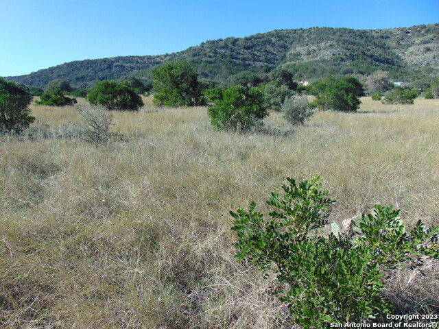 Image 10 of 13 For 0 Ranch Road 337 W