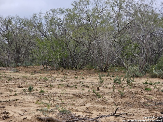 Image 14 of 22 For 145 Sylas Hayes Loop