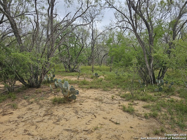 Image 8 of 22 For 145 Sylas Hayes Loop