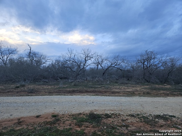 Details for 1875 Cr 168  , Floresville, TX 78114