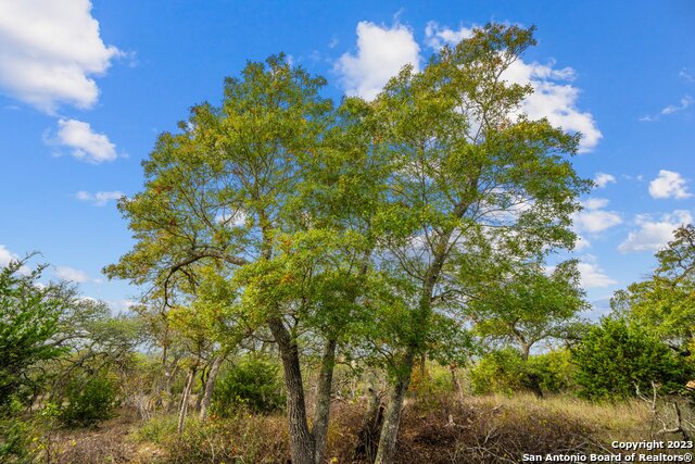 Image 8 of 22 For Tbd Twisted Oak Trl E