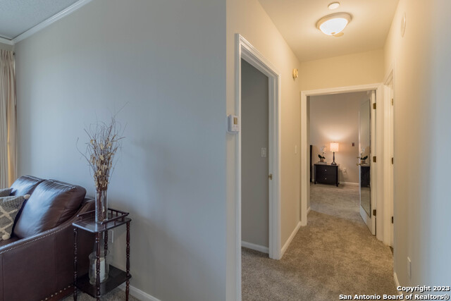 Listing photo id 11 for 1 Towers Park Ln 305