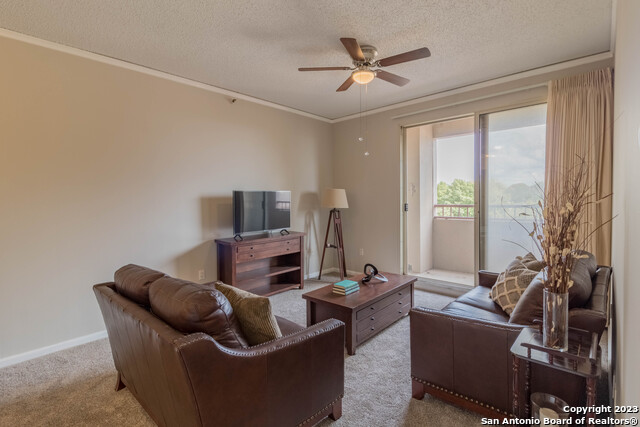 Listing photo id 7 for 1 Towers Park Ln 305