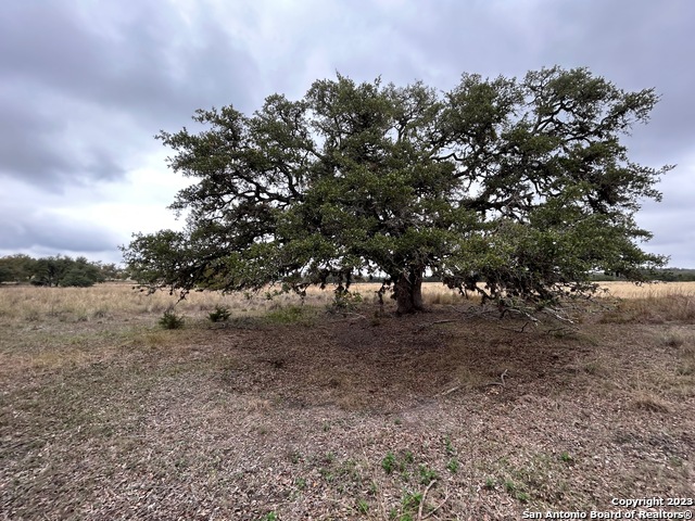 Details for Lot 3 North Grape Creek Rd, Fredericksburg, TX 78624