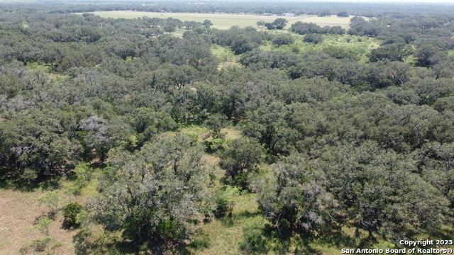 Image 5 of 10 For 000 County Road 311