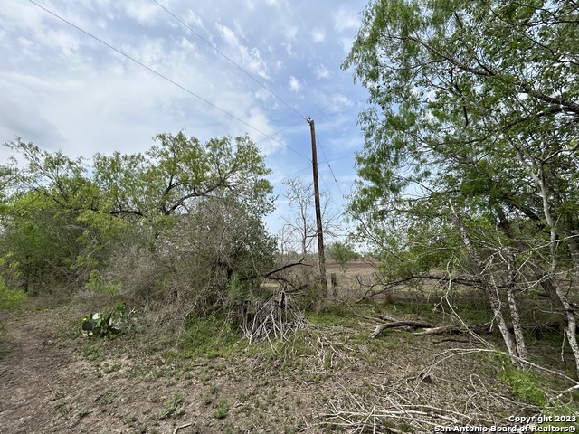 Listing photo id 24 for 21200 Lamm Rd