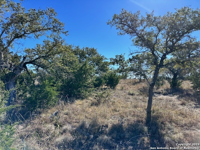 Image 8 of 17 For Lot37 High Point Ranch Rd