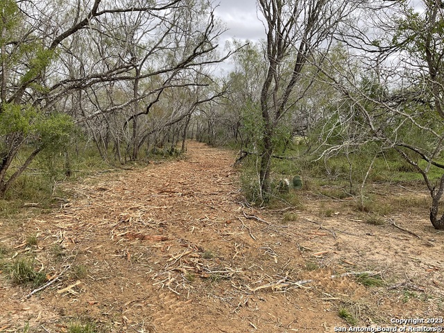 Image 14 of 29 For 161 Sylas Hayes Loop