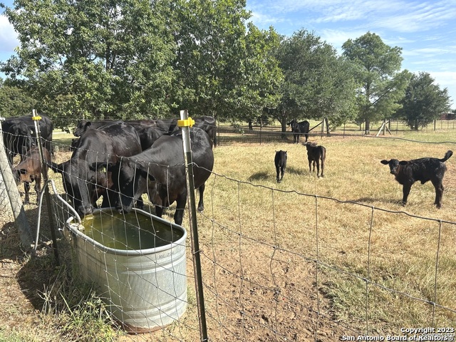 Image 38 of 70 For 2712 N State Hwy 80