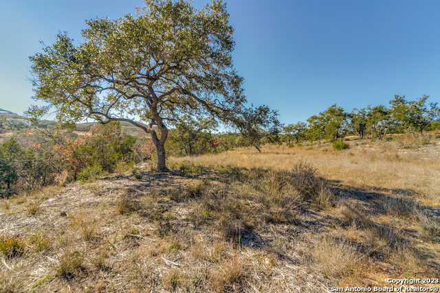 Image 6 of 15 For 24411 Tres Arroyos