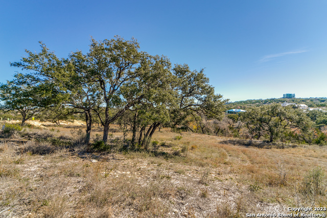 Image 8 of 15 For 24411 Tres Arroyos