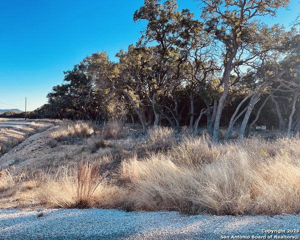 Image 6 of 9 For Lot 13 Clearwater Oaks Rd