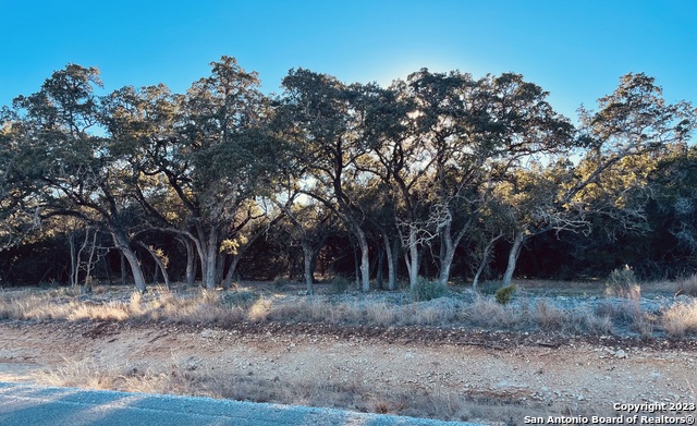 Image 8 of 9 For Lot 13 Clearwater Oaks Rd