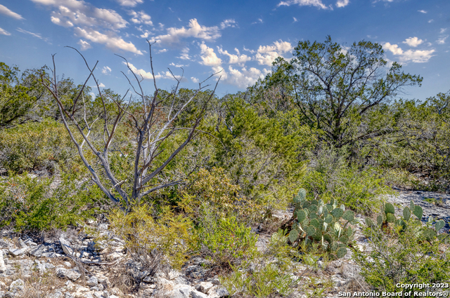 Image 15 of 25 For 1917 Ranch Road 3348