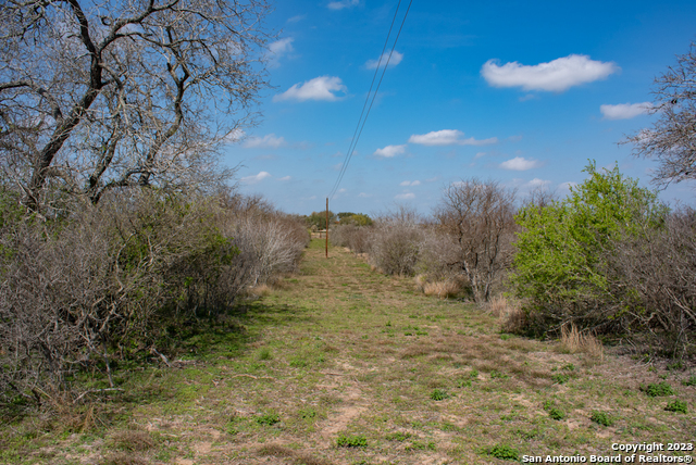 Image 5 of 85 For 750 County Road 159