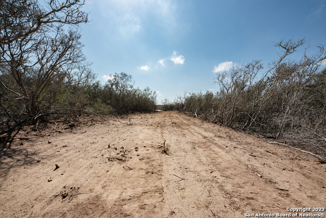 Image 9 of 85 For 750 County Road 159