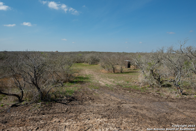 Image 18 of 85 For 750 County Road 159