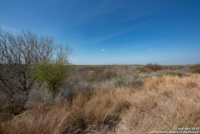 Image 37 of 85 For 750 County Road 159