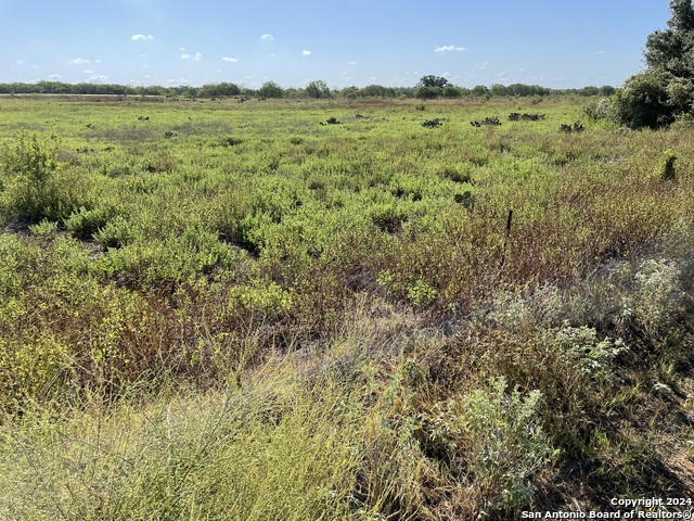 Image 9 of 11 For 22.27 Acres Fm 1784