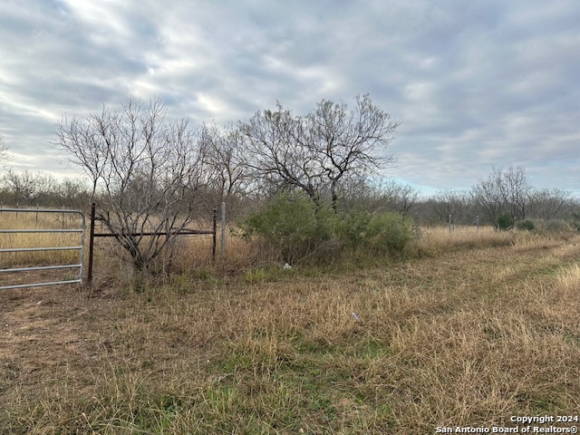 Details for 000 Bluntzer Rd, Jourdanton, TX 78026