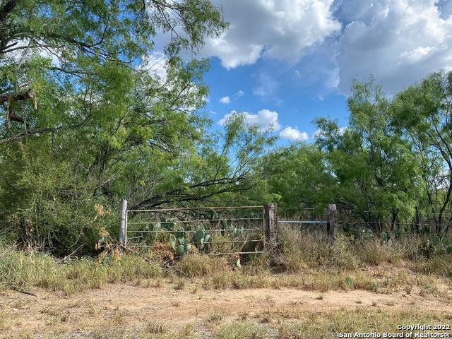 Details for Lots 3607-3611 Avenue L, Christine, TX 78012