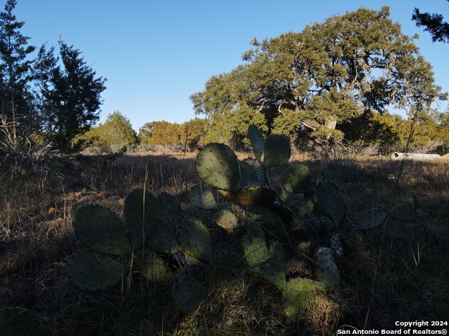 Image 15 of 16 For Tbd Kings Ranch Rd