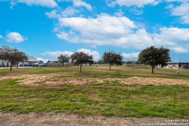 Image 4 of 4 For 128 Tree Farm Dr W