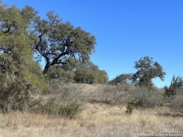 Image 6 of 14 For 1195 Hills Of Bandera Rd