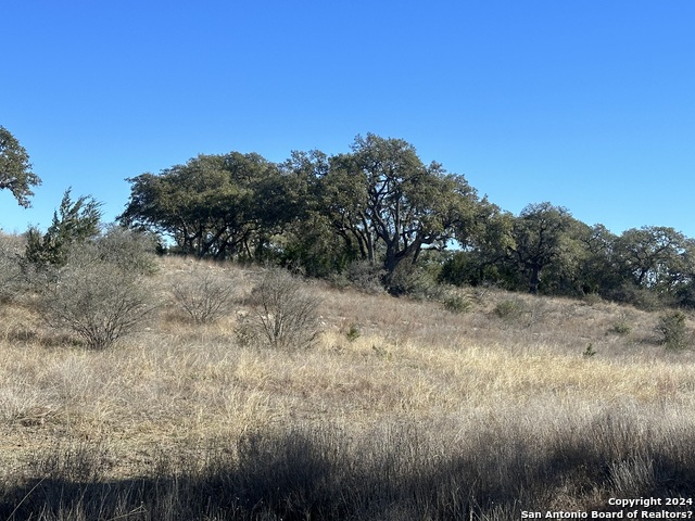 Image 8 of 14 For 1195 Hills Of Bandera Rd