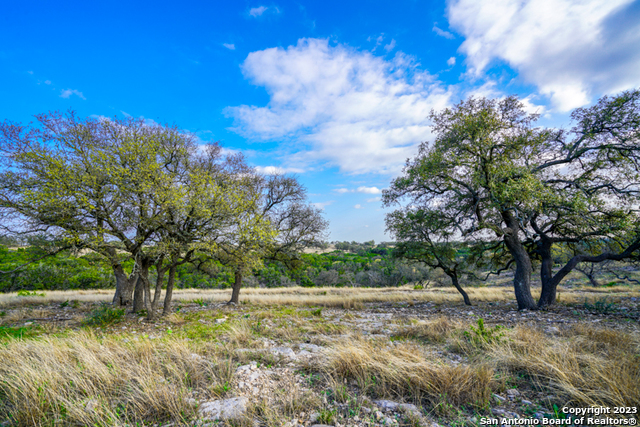 Image 11 of 19 For Lot 84 Loma Vista Ranch #2