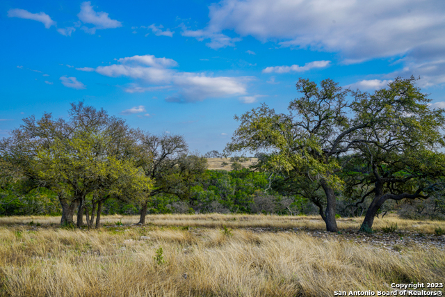 Image 2 of 19 For Lot 84 Loma Vista Ranch #2