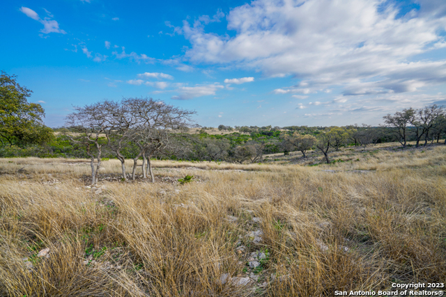 Image 4 of 19 For Lot 84 Loma Vista Ranch #2