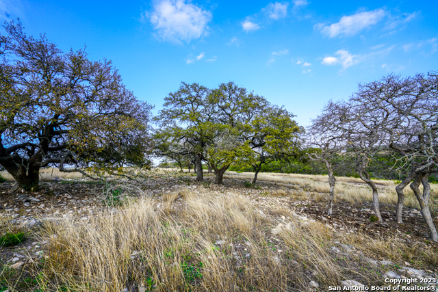 Image 5 of 19 For Lot 84 Loma Vista Ranch #2