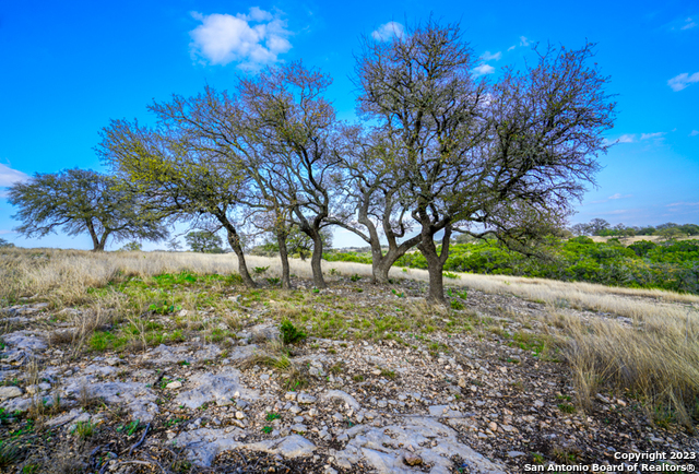 Image 7 of 19 For Lot 84 Loma Vista Ranch #2