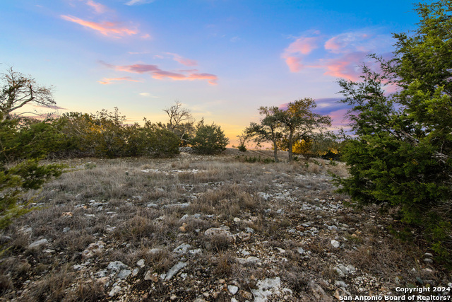 Image 10 of 40 For Lot 12 Purple Sage Trl