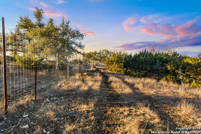 Image 14 of 40 For Lot 12 Purple Sage Trl