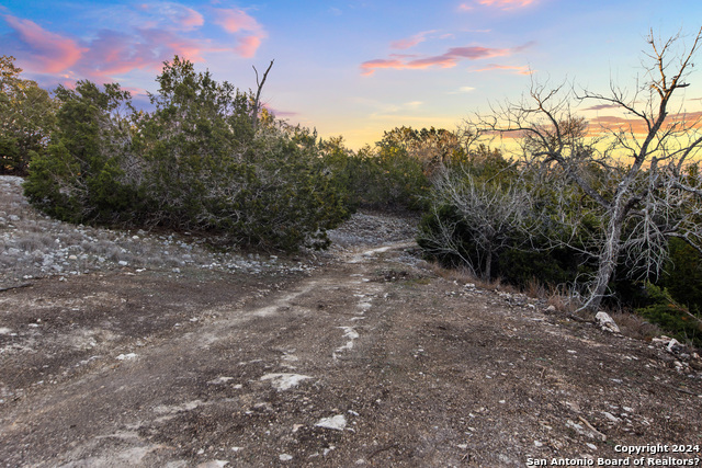 Image 24 of 40 For Lot 12 Purple Sage Trl