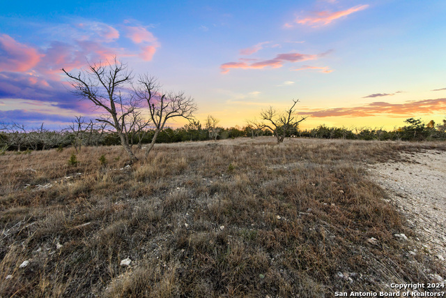 Image 5 of 40 For Lot 12 Purple Sage Trl